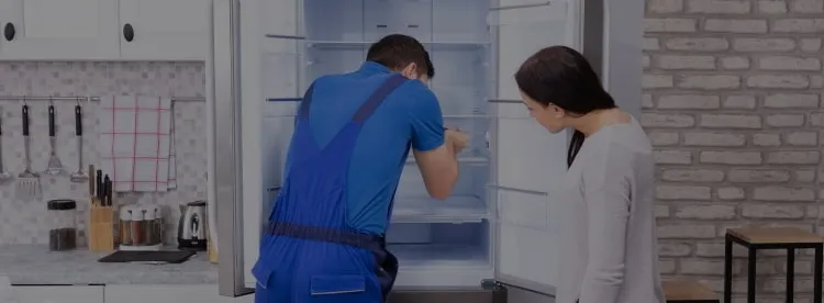 Ремонт холодильников KRIsta